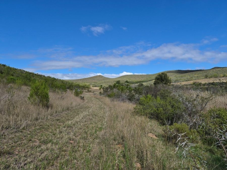 Commercial Property for Sale in Swellendam Rural Western Cape